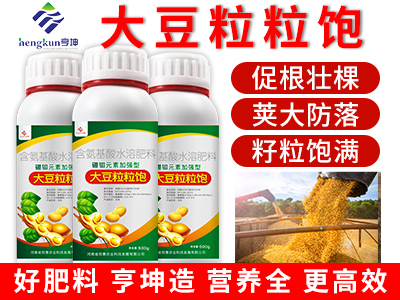 大豆粒粒饱
