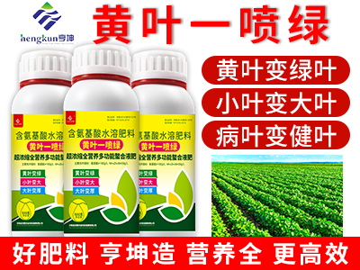 黄叶一喷绿