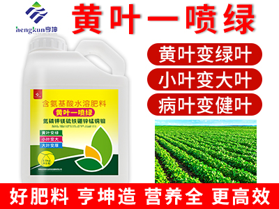 黄叶一喷绿2.5