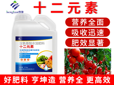 十二元素2.5